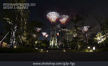 
                Beleuchtung, Supertree, Gardens By The Bay                   