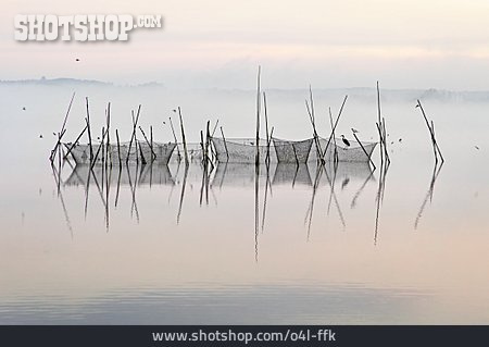 
                See, Nebel, Reuse, Fischerei, Kummerower See                   