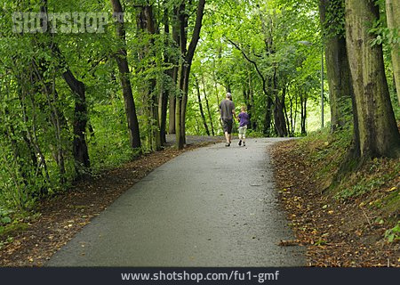 
                Weg, Spaziergang, Waldweg, Waldspaziergang                   