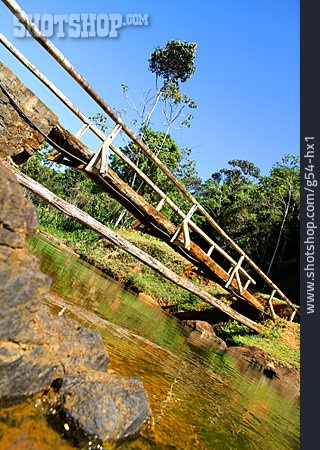 
                Regenwald, Holzbrücke, Bahia                   