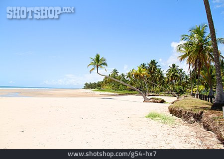 
                Reise & Urlaub, Strand, Sandstrand, Bahia                   