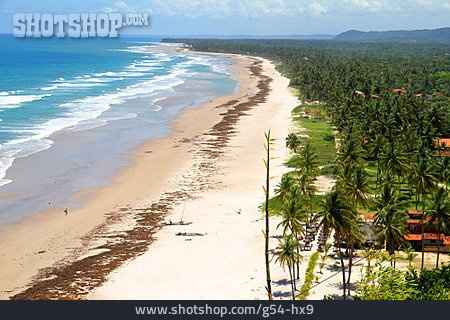 
                Atlantikküste, Sandstrand, Bahia                   