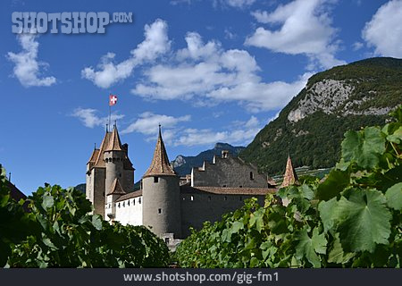 
                Burg, Weinanbaugebiet, Weinbaumuseum, Château D’aigle                   