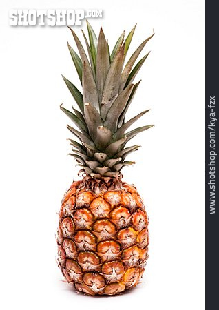 
                Südfrucht, Ananas                   