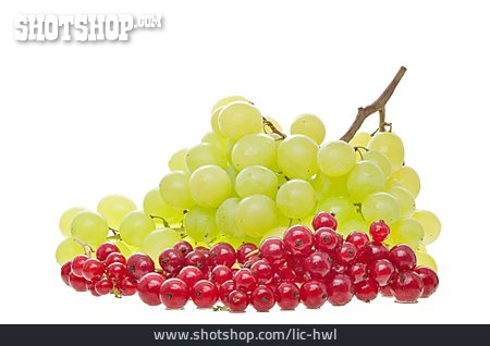 
                Obst, Johannisbeere, Weintraube                   