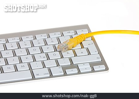 
                Tastatur, Netzwerk, Netzwerkkabel                   