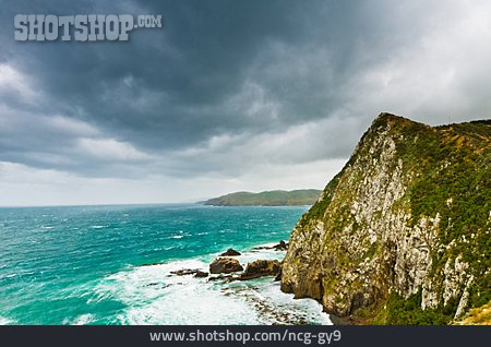 
                Felsküste, Neuseeland, Catlins                   