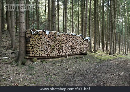 
                Forstwirtschaft, Brennholz, Holzvorrat                   