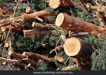 
                Holz, Forstwirtschaft, Waldarbeit                   