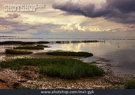 
                Nordsee, Ebbe                   