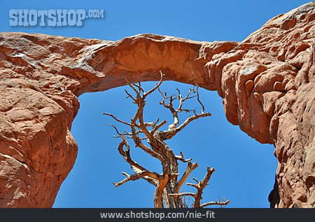 
                Sandstein, Arches National Park                   
