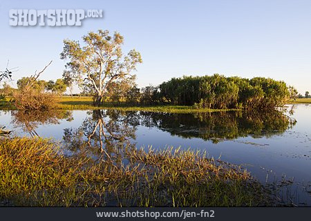 
                Sumpf, Kakadu Nationalpark, Yellow Waters Billabong                   