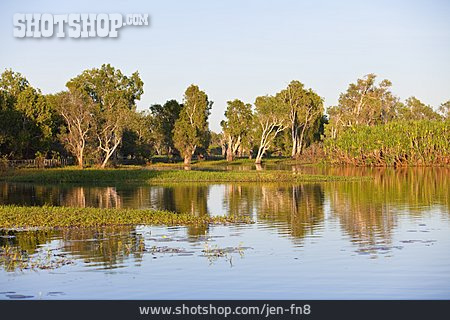 
                Kakadu Nationalpark, ökosystem, Mangroven, Yellow Waters Billabong                   