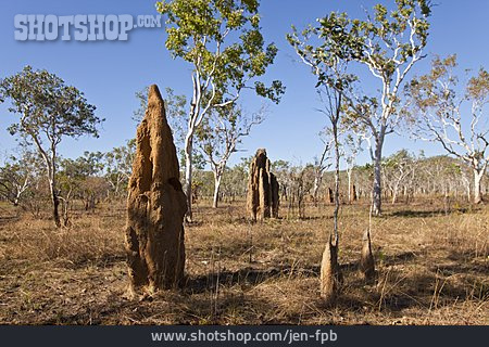 
                Kakadu Nationalpark, Termitenbau                   