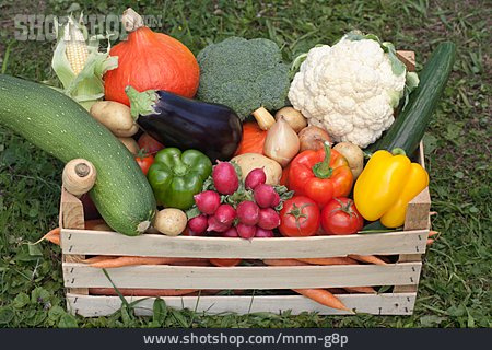 
                Gesunde Ernährung, Gemüse, Ernte                   