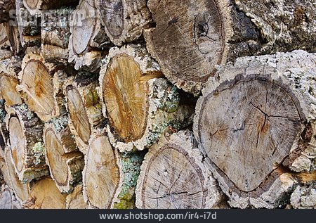 
                Holz, Holzstapel                   