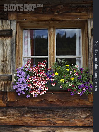 
                Fenster, Blumenkasten, Rustikal, Blumenfenster                   