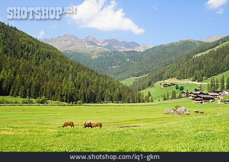 
                Südtirol, Ultental, Sankt Gertraud                   