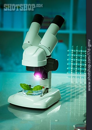
                Gentechnik, Labor, Mikroskop                   