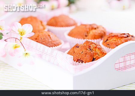 
                Muffin, Cupcake, Küchlein                   
