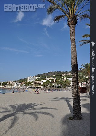 
                Strand, Mallorca, Peguera                   