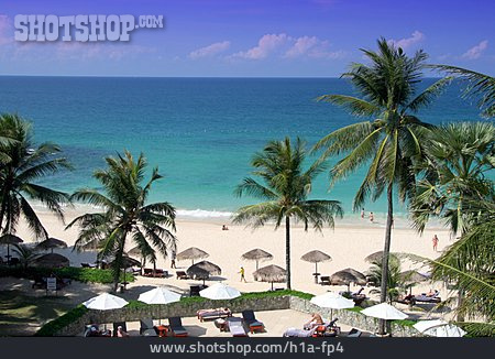 
                Strand, Reiseziel, Urlaubsort, Phuket, Resort                   