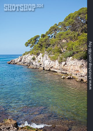 
                Felsküste, Menorca, Cala Galdana                   
