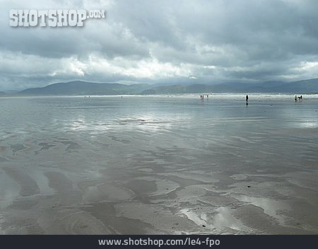 
                Watt, Irland, Dingle Peninsula, Inch Beach                   