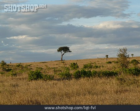 
                Landschaft, Afrika                   