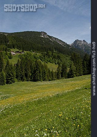 
                Tirol, Alm, Lechtal                   