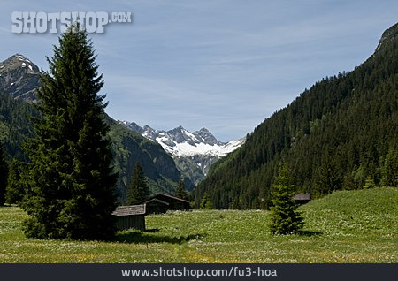 
                Tirol                   