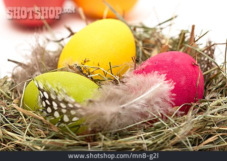 
                Easter Egg, Easter Nest                   