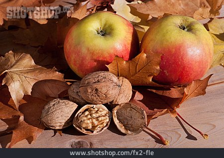 
                Herbst, Apfel, Walnuss                   