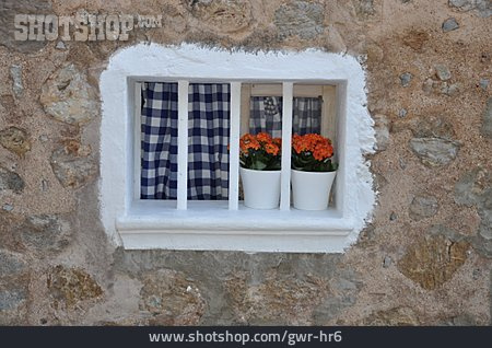 
                Fenster, Blumentopf                   