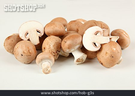 
                Pilz, Champignon, Speisepilz                   