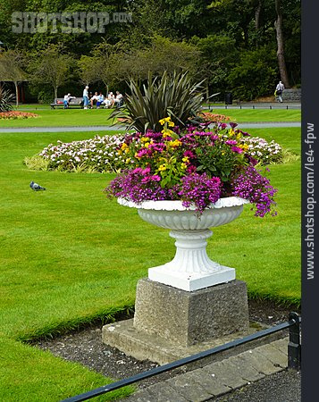 
                Stadtpark, Dublin, Pflanzkübel                   