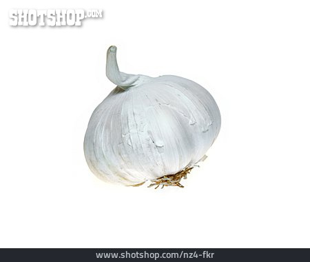 
                Knoblauch, Knoblauchknolle                   