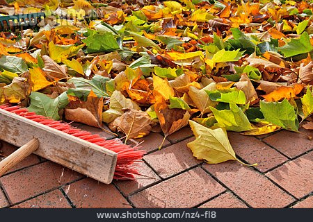 
                Herbstlaub, Gartenarbeit, Laubhaufen                   