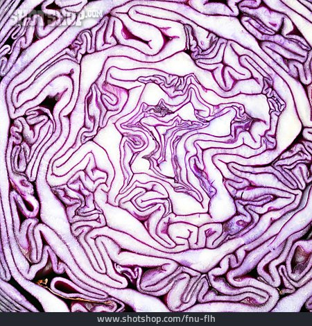 
                Backgrounds, Colors & Shapes, Red Cabbage                   