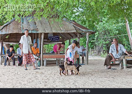 
                Pflege & Fürsorge, Füttern, Thailand                   