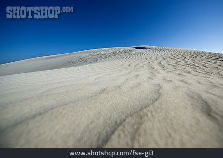 
                Sandwüste, Sanddüne                   