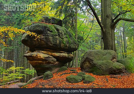 
                Herbstlich, Felsformation, Elbsandsteingebirge                   