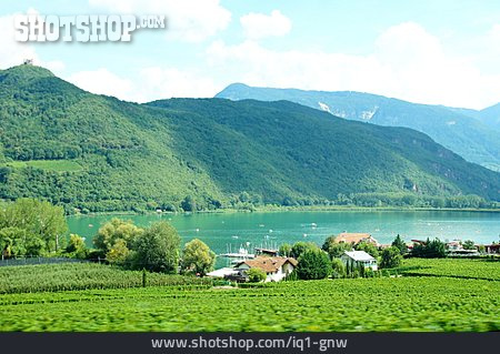 
                Südtirol, Kalterer See                   