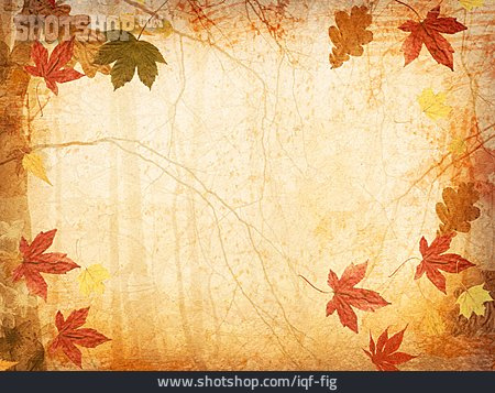 
                Hintergrund, Herbst, Herbstlaub                   