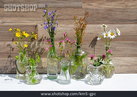 
                Kräuter, Vase, Heilpflanze, Homöopathie                   