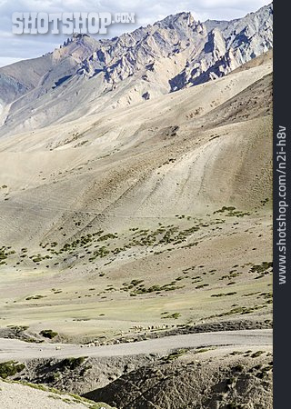 
                Gebirge, Indien, Kaschmir                   