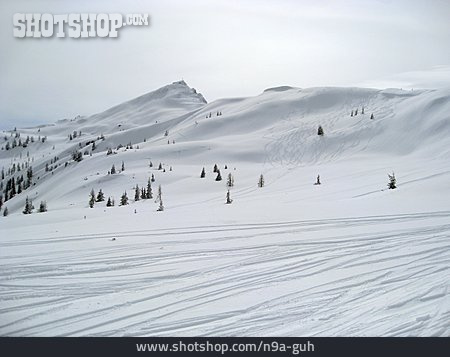 
                Winterlandschaft, Skipiste                   
