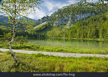 
                Natur, See, Frillensee, Uferweg                   