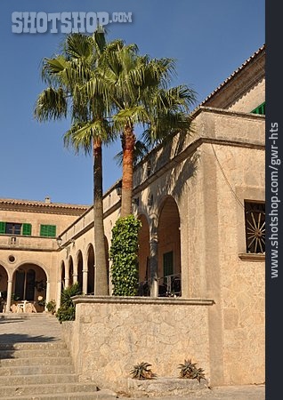 
                Palme, Kloster, Mallorca                   