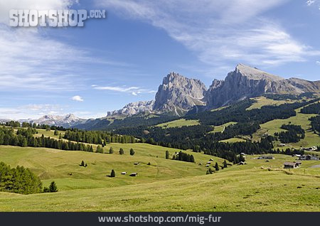 
                Südtirol, Dolomiten, Alm, Hochalm, Seiser Alm                   